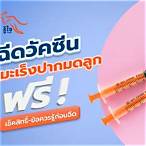 ฉีดวัคซีน มะเร็งปากมดลูก ฟรี 2565 pantip